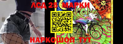 стаф Кулебаки