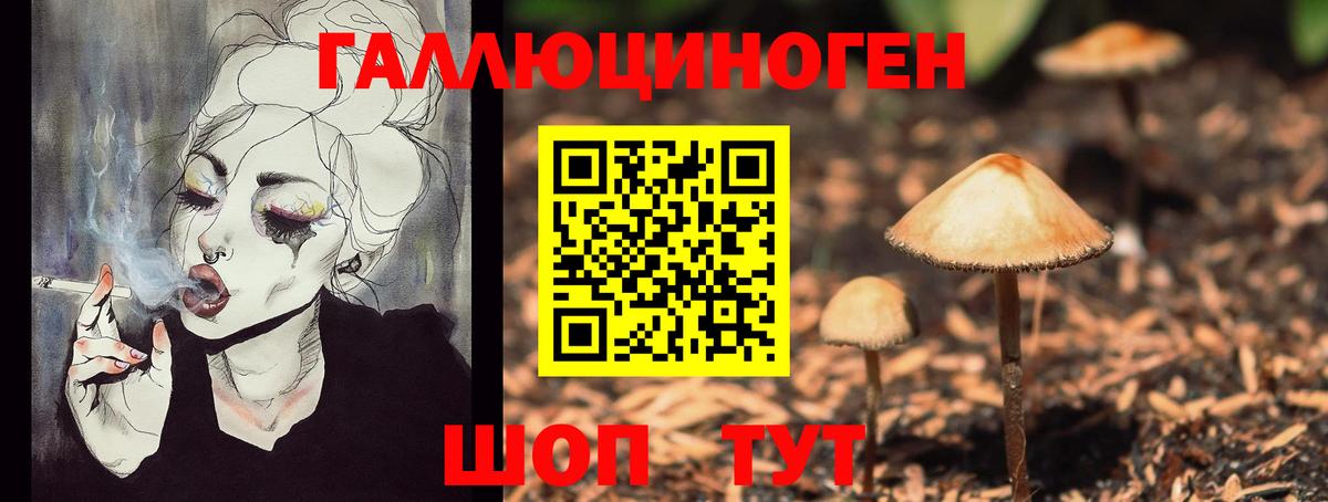 даркнет сайт  Галлюциногенные грибы Magic Shrooms  Жигулёвск  Вход с VPN  Псилоцибиновые грибы Psilocybine cubensis 